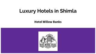 Luxury Hotels in Shimla