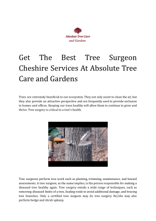 Get The Best Tree Surgeon Cheshire Services At Absolute Tree Care and Gardens