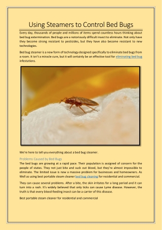 Using Steamers to Control Bed Bugs