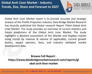Global Arch Liner Market report  Pdf-