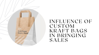 Influence of Custom Kraft Bags in Bringing Sales