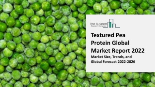 Textured Pea Protein Global Market Size By Type, By Application, Industry Outlook, Market Expansion Opportunities Throug