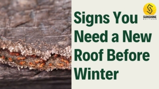 Signs You Need a New Roof Before Winter