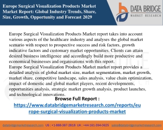 Europe Surgical Visualization Products Market   26 PDF