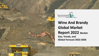 Wine And Brandy Market Trends, Market Share, Industry Size, Opportunities, Analy