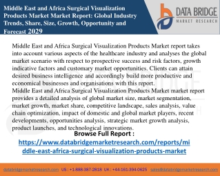 Middle East and Africa Surgical Visualization Products Market pdf
