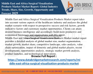 Middle East and Africa Surgical Visualization Products Market ppt