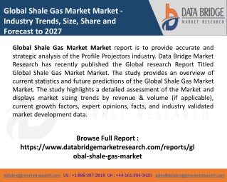 Shale Gas Market Market