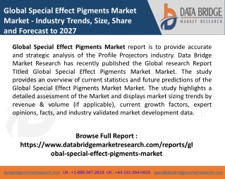 Special Effect Pigments Market