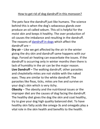 Anti Dandruff pet Shampoo