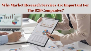 Why Market Research Services Are Important For The B2B Companies