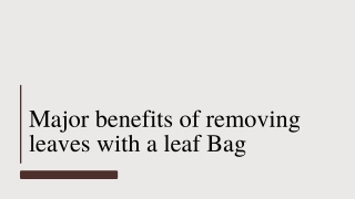 Major benefits of removing leaves with a leaf Bag
