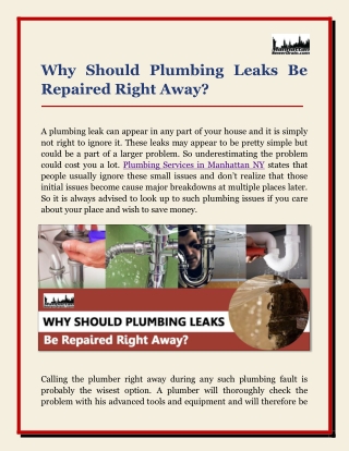 Why Should Plumbing Leaks Be Repaired Right Away