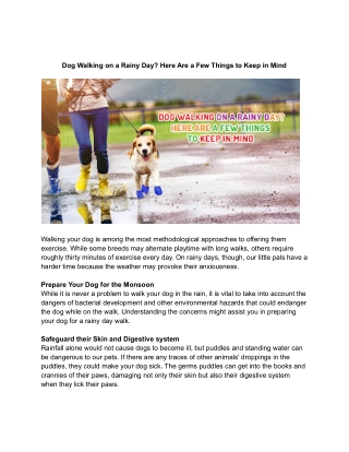 Dog Walking on a Rainy Day? Here Are a Few Things to Keep in Mind