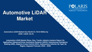 Automotive LiDAR Market Share, Size, Trends, Industry Analysis Report, 2030