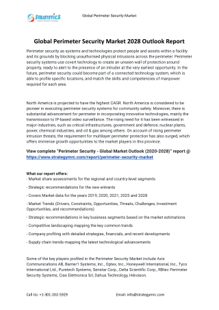 2021 Perimeter Security Industry Global Analysis Report