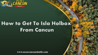 How to Get To Isla Holbox From Cancun