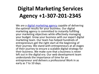 Digital Marketing Services Agency  1-307-201-2345