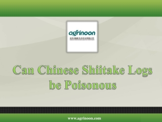 Can Chinese Shiitake Logs be Poisonous