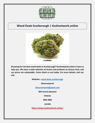 Weed Deals Scarborough | Kushnetwork.online