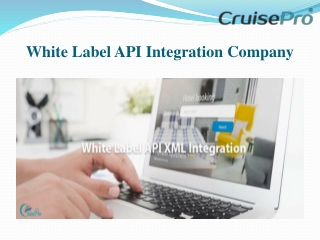 White Label API Integration Company