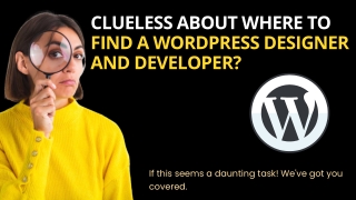 Find WordPress designer and developer