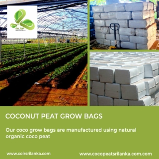 COCONUT PEAT 25 KG BAG