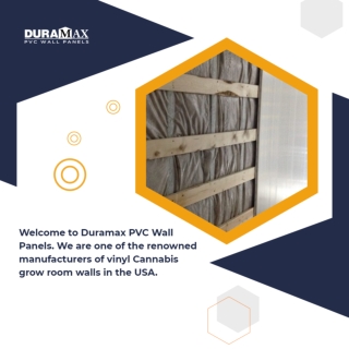 Ensure Effective Cannabis Growth with High-Quality PVC Wall and Ceiling Panels