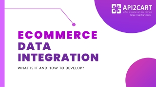 eCommerce Data Integration. What is it and How to Develop?