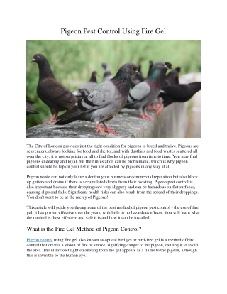 Pigeon Pest Control Using Fire Gel