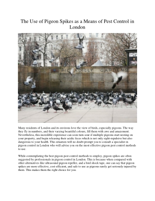 The Use of Pigeon Spikes as a Means of Pest Control in London