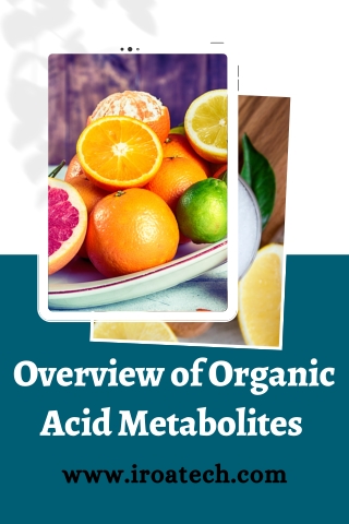 Overview of Organic Acid Metabolites - IROA Technologies