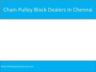 Chain Pulley Block Dealers In Chennai