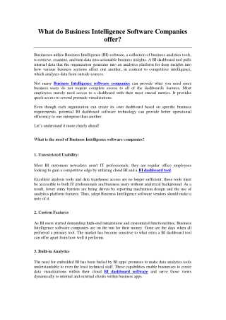 What do Business Intelligence Software Companies offer