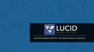 Lucid Market Research