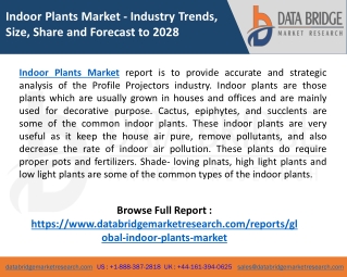 Indoor Plants Market