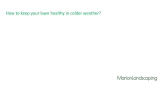 Get the best Landscaping services through Marion landscaping