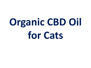 Organic CBD Oil  for Cats
