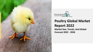 Poultry Market Trends, Size And Outlook Forecast To 2031