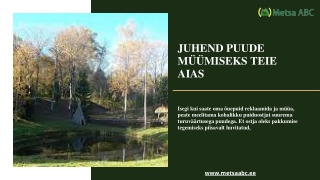 Juhend puude müümiseks teie aias