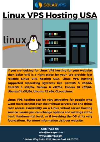 Linux VPS Hosting USA