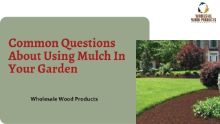 Common Questions About Using Mulch In Your Garden