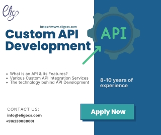 Custom API Integration and Development services by Eligocs
