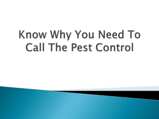 Know-Why-You-Need-To-Call-The-Pest-Control