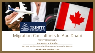 Migration Consultants In Abu Dhabi​