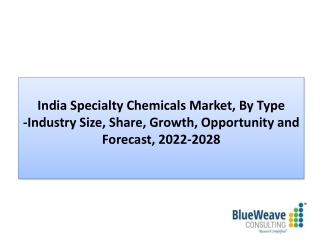 India Speciality Chemicals Market Forecast 2022-2028