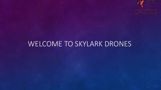 Drone Survey