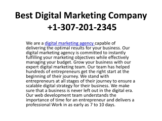 Best Digital Marketing Company   1-307-201-2345