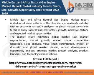 Middle East and Africa Natural Gas Engine Market PPT-Chemical Material