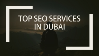 Top seo services in Dubai